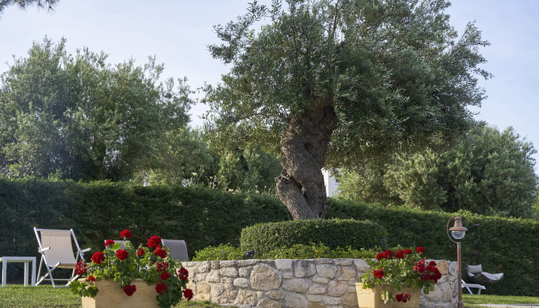 Mirabilia Boutique Hotel Chalkidiki