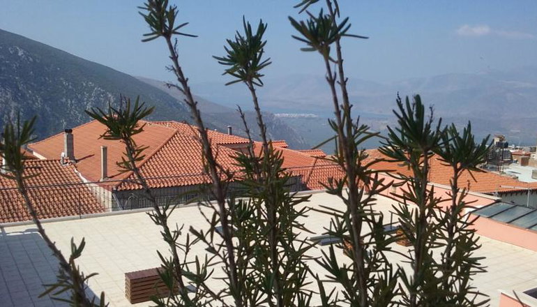 Leto Hotel Delphi - Δελφοί, Φωκίδα