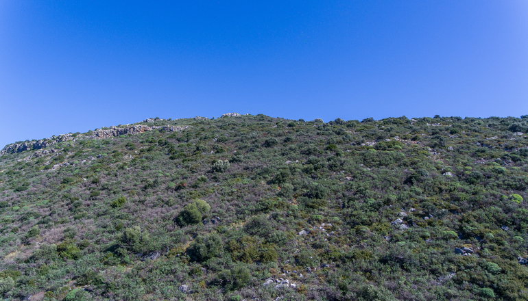 Lithos by the Sea - Νέο Οίτυλο, Μάνη