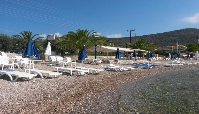 Margarita Hotel