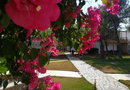 Marzi beach and Bungalows