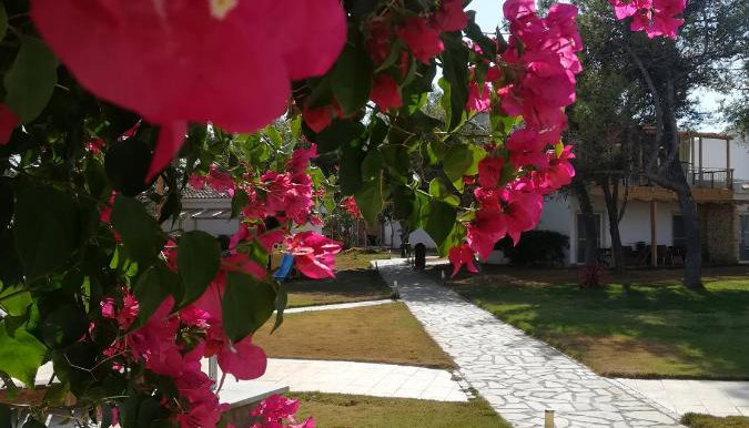 Marzi beach and Bungalows
