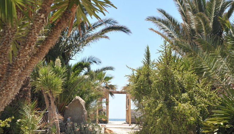 Medusa Beach Resort & Suites - Πλάκα, Νάξος