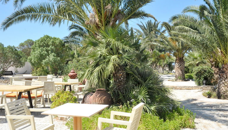 Medusa Beach Resort & Suites - Πλάκα, Νάξος