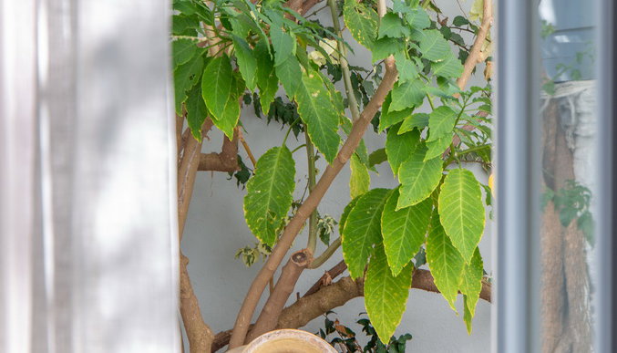 Micra Anglia Boutique Hotel & Spa - Άνδρος