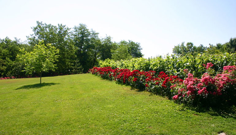 Milionis Hotel
