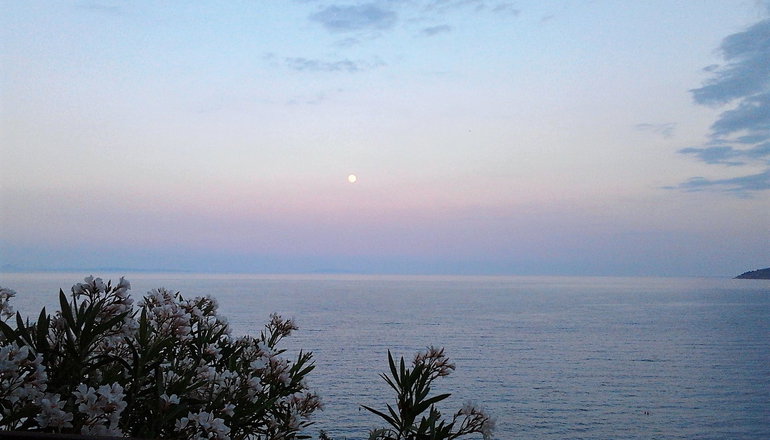 Muses SeaSide Villas