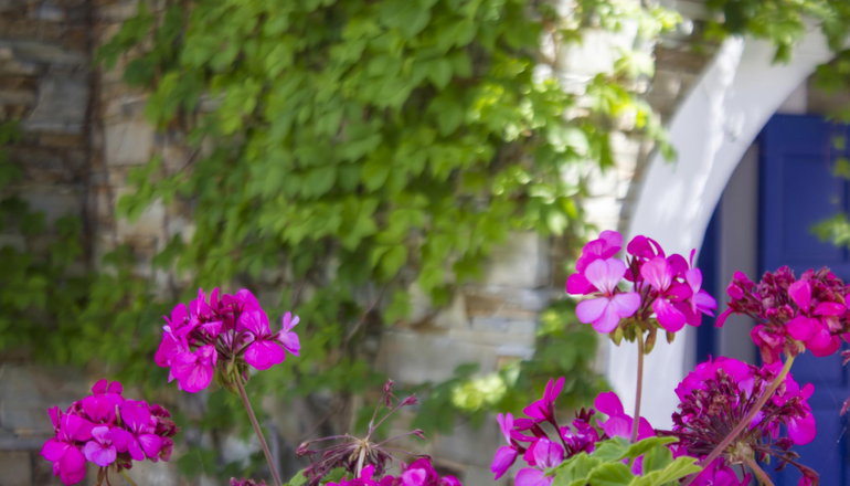 Naxos Holidays Hotel - Νάξος