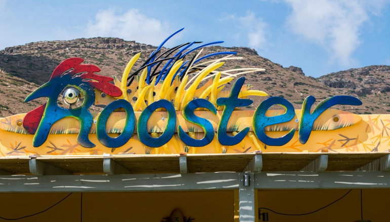 Rooster Guesthouse