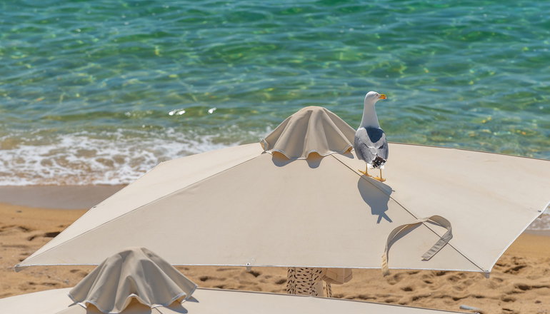 4* Tosca Beach Hotel