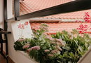 Obrava Guesthouse