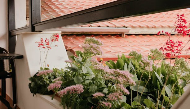 Obrava Guesthouse