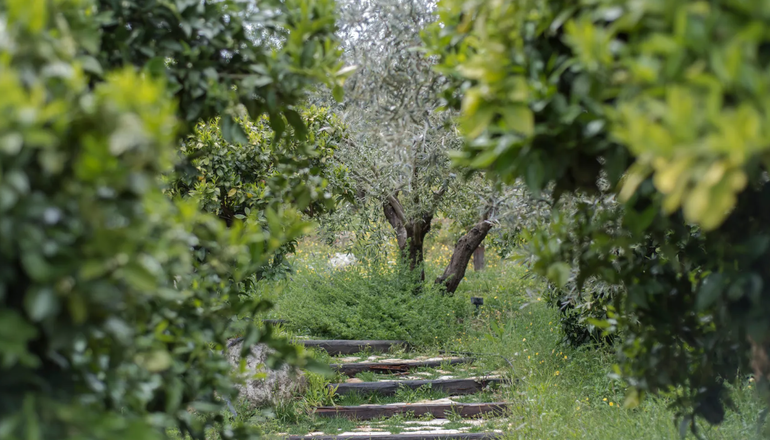 Opora Country Living - Πυργιώτικα, Ναύπλιο