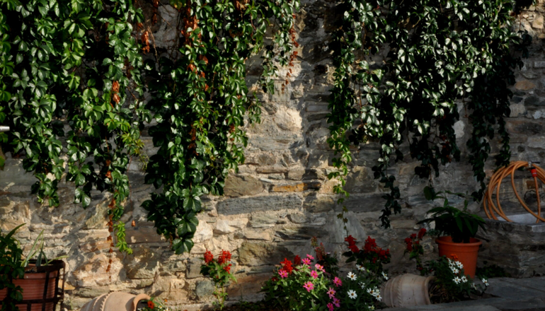 Palladio Hotel