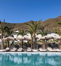 Palm Island Suites
