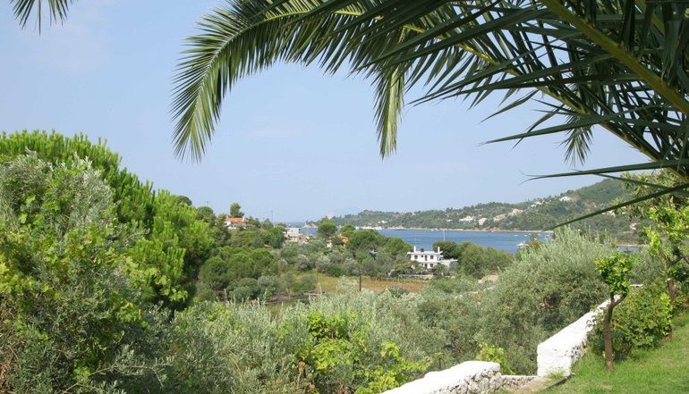 Pandora Studios & Apartments - Κολιός, Σκιάθος