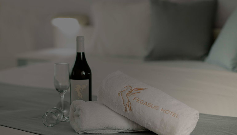 Pegasus Hotel - Χανιώτη, Χαλκιδική