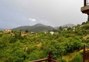 Petra & Elato Art Hotel