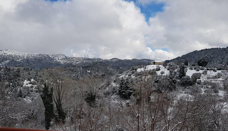 Petra & Elato Art Hotel