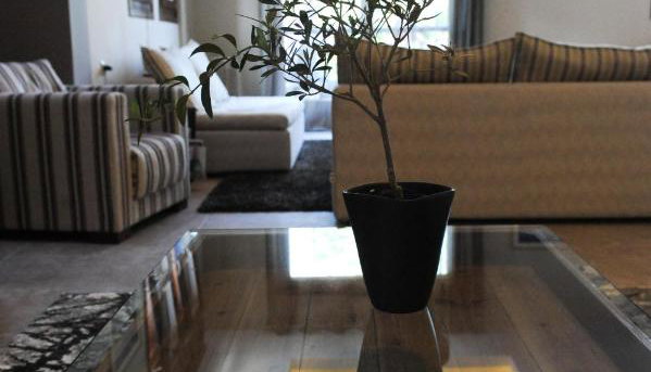 Pilion Terra Hotel
