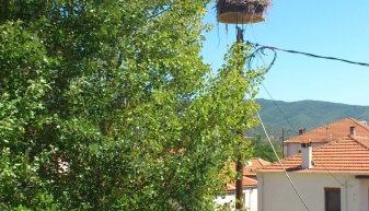 Prespa Resort & Spa - Πρέσπες