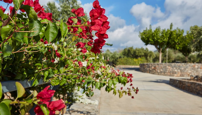 Searocks Exclusive Village - Κιτριές, Μεσσηνία