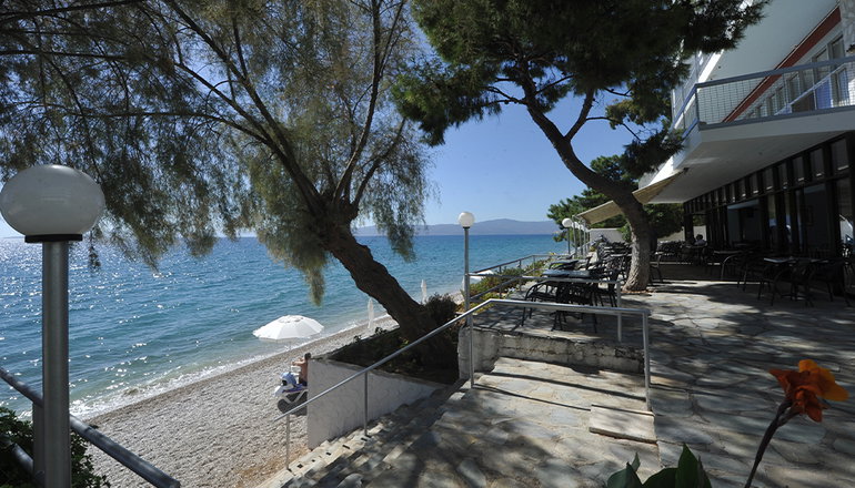 Siagas Beach Hotel - Άγιοι Θεόδωροι