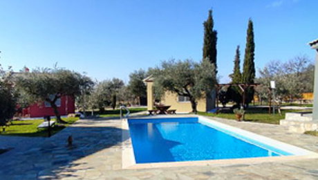 Socrates Organic Village Wild Olive - Αγριλιά, Μεσολόγγι