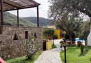 Socrates Organic Village Wild Olive - Αγριλιά, Μεσολόγγι