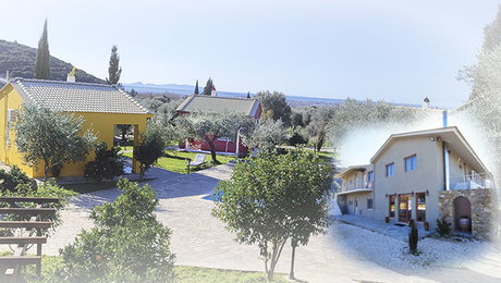Socrates Organic Village Wild Olive - Αγριλιά, Μεσολόγγι