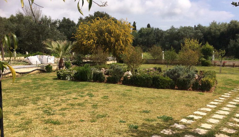 Sunny Studios Kefalonia