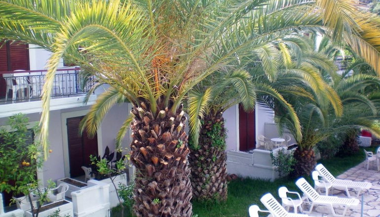 Sunshine Inn Hotel