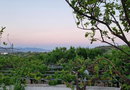 Tolo Blue Bay - Τολό, Αργολίδα