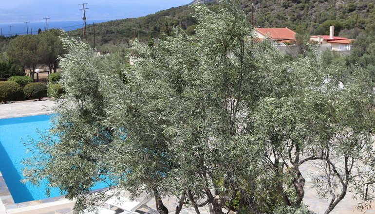 Turquoise Villa - Λουτράκι