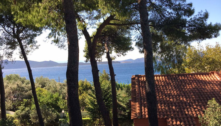 Venus Beach Hotel - Νέα Στύρα, Εύβοια