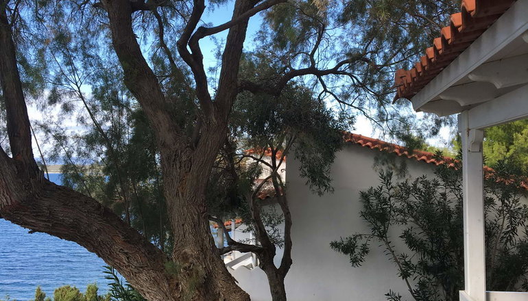 Venus Beach Hotel - Νέα Στύρα, Εύβοια