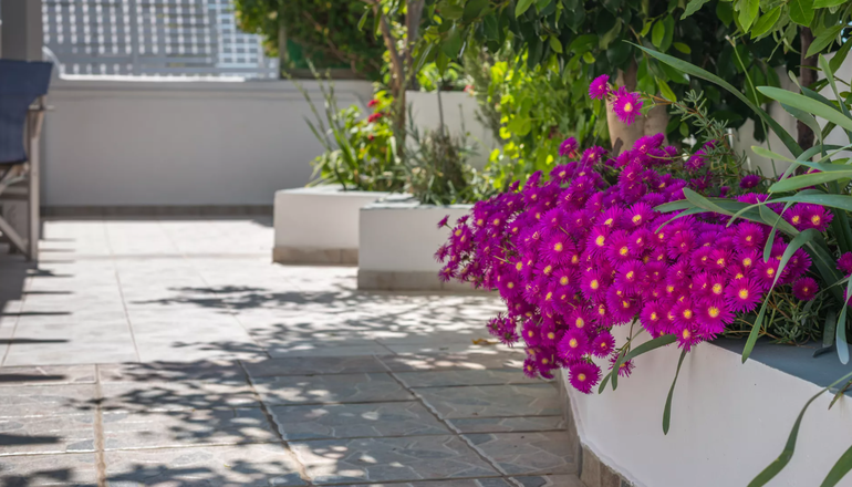 Vira Vivere Houses