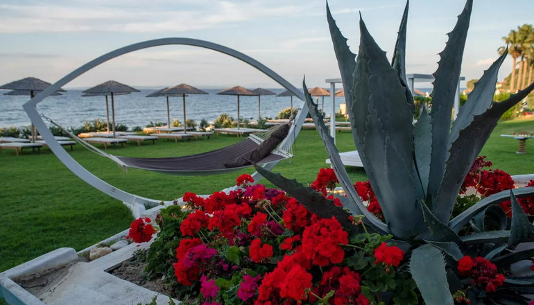 4* Windmill Bay Hotel - Αργάσι, Ζάκυνθος